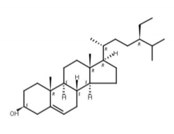 Phytosterol