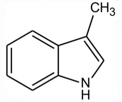 3-Methylindole