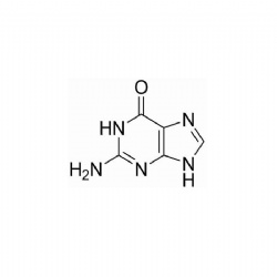 2-氨基-6-羟基嘌呤